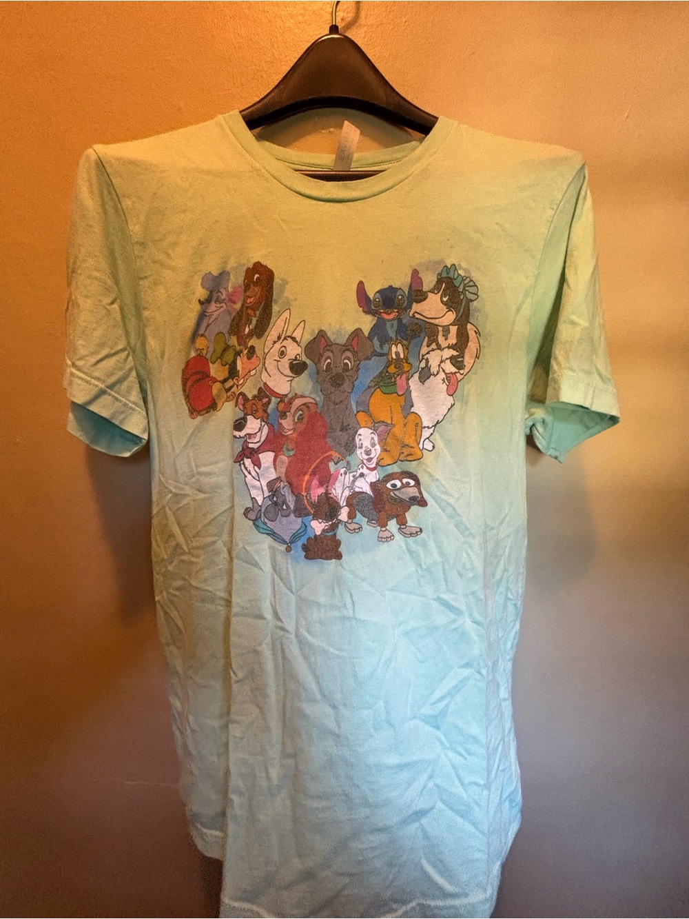 Bella Canvas Mint Green Graphic T-Shirt